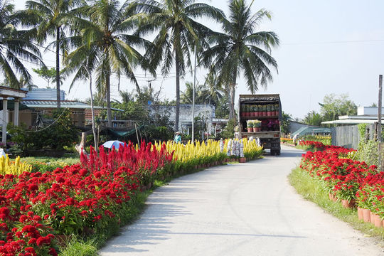 Nỗ lực hoàn thành các chương trình mục tiêu quốc gia