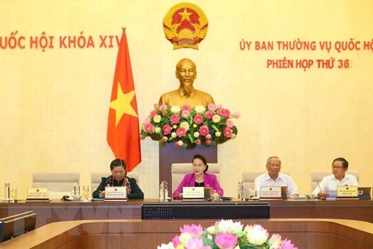 Phó Thủ tướng: Thay đổi khung pháp lý để duy trì sứ mệnh của thư viện Phó Thủ tướng: Thay đổi khung pháp lý để duy trì sứ mệnh của thư viện