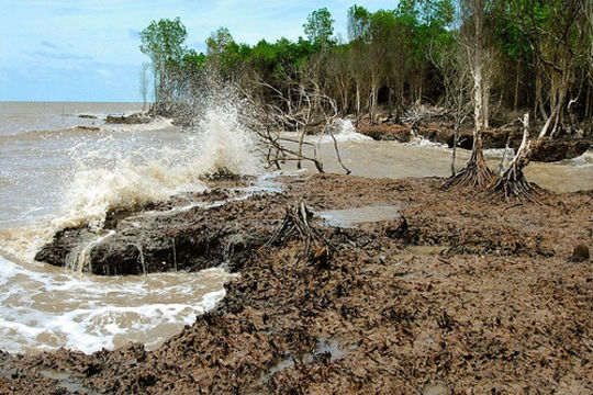 Đẩy mạnh phát triển bền vững Đồng bằng sông Cửu Long thích ứng với biến đổi khí hậu