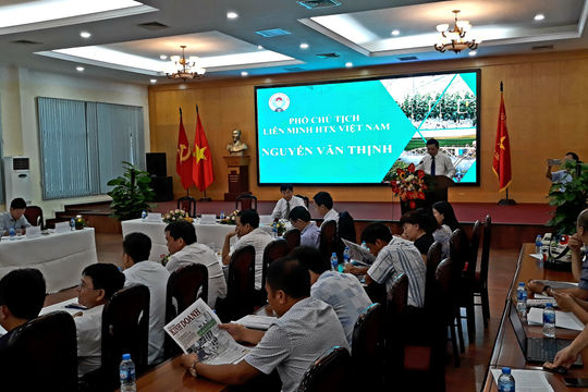 Tăng cường liên kết phát triển kinh tế hợp tác theo hướng bền vững