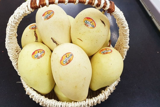 Ngành nông nghiệp: Tổng kim ngạch xuất nhập khẩu hàng hóa 9 tháng ước đạt 53,2 tỷ USD