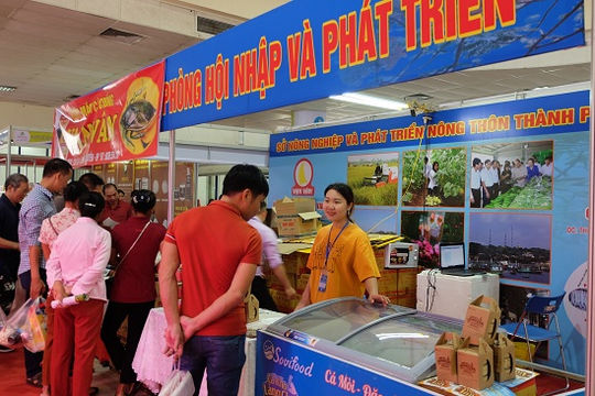 Chính sách tài chính cần được điều chỉnh như thế nào để vượt qua thách thức?