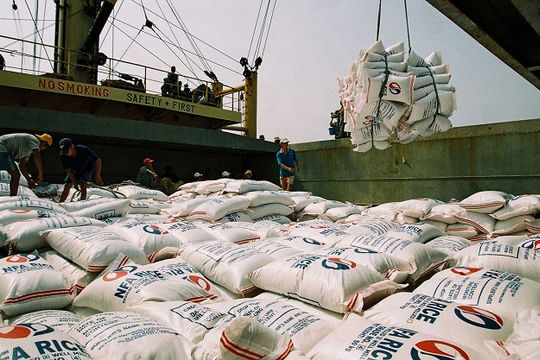 Giá gạo Việt Nam “chạm đáy” trong 12 năm. Giá gạo Việt Nam “chạm đáy” trong 12 năm.