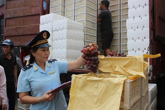 Nhập khẩu từ Trung Quốc vượt 50 tỷ USD