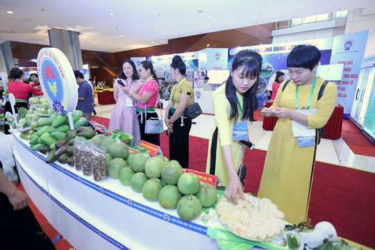 Tăng cường đào tạo, nâng cao trình độ nguồn nhân lực của các hợp tác xã