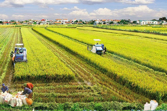 Tạo điều kiện thuận lợi nhất cho việc tích tụ đất nông nghiệp