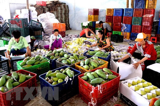 Kim ngạch xuất nhập khẩu nông, lâm, thủy sản 10 tháng ước đạt 59,1 tỷ USD