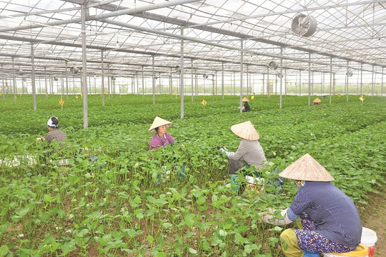 Tháo gỡ rào cản trong chính sách đất đai  để nông nghiệp phát triển Tháo gỡ rào cản trong chính sách đất đai  để nông nghiệp phát triển