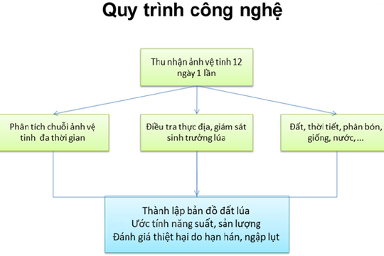 Sử dụng tín hiệu vệ tinh vào theo dõi sản xuất lúa tại Việt Nam