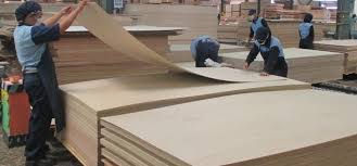 Bộ Công Thương ban hành quy định chống gỗ dán 'đội lốt' xuất xứ Việt Nam