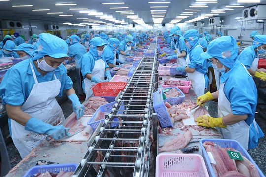 Nhìn lại 20 năm ban hành và thực thi Luật Doanh nghiệp Nhìn lại 20 năm ban hành và thực thi Luật Doanh nghiệp