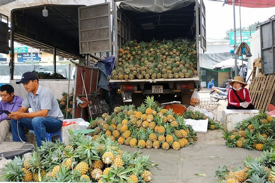 Logistics giàu tiềm năng tăng trưởng,  hỗ trợ nâng cao giá trị nông sản