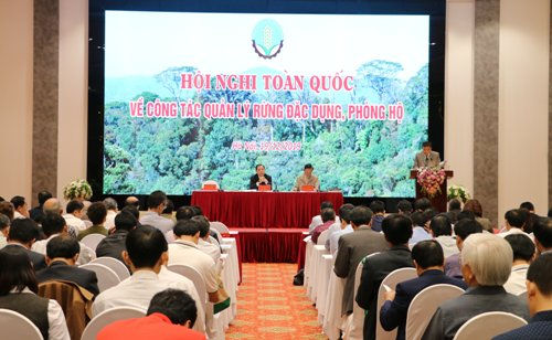 Đầu tư, phát triển bền vững rừng đặc dụng, phòng hộ Đầu tư, phát triển bền vững rừng đặc dụng, phòng hộ