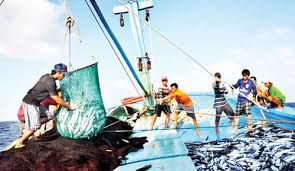 Chương trình trọng điểm điều tra tài nguyên, môi trường biển và hải đảo đến năm 2030