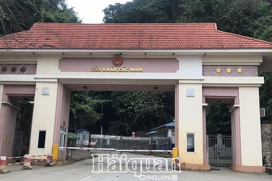 Giải cứu quả thanh long: Chú ý thị trường trong nước