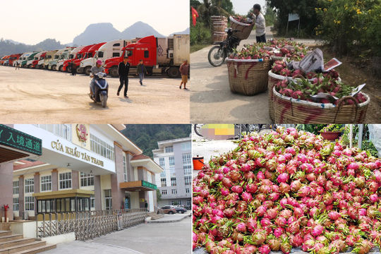 Dịch viêm đường hô hấp cấp sẽ có tác động đến số thu ngân sách Nhà nước