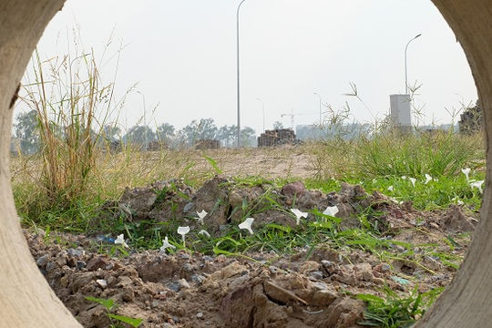 Thị trường bất động sản năm 2020:  Không có nhiều biến động lớn