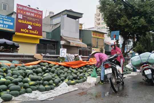 Nông sản Việt “lao đao” vì ảnh hưởng của virus Corona