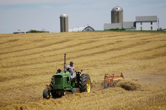 Dịch Covid-19 có thể ảnh hưởng đến việc mua nông sản Mỹ của Trung Quốc