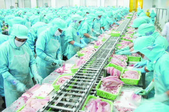 Việt Nam cam kết xóa bỏ 99% số dòng thuế nhập khẩu từ EU trong vòng 10 năm