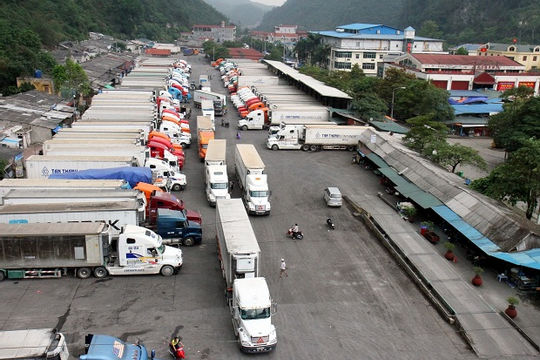 Dịch bệnh nCoV diễn biến phức tạp  tác động lớn đến xuất nhập khẩu