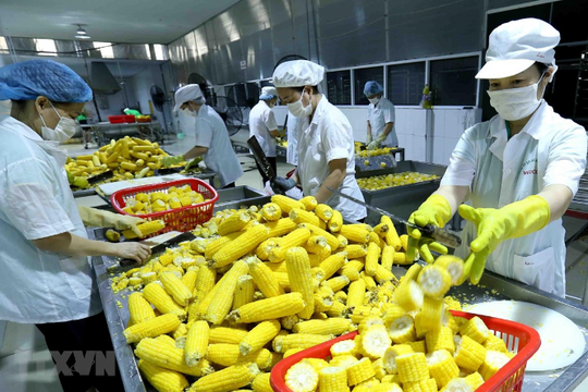 Chung tay thúc đẩy xuất khẩu nông sản Việt