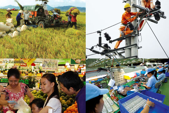 Tổ chức Tổng điều tra kinh tế năm 2021