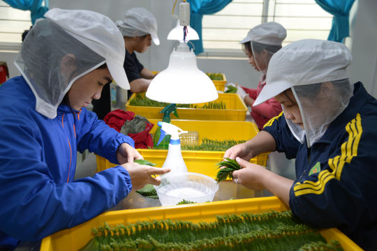 Vi phạm quy định về thực hiện hợp đồng lao động bị phạt đến 150 triệu đồng Vi phạm quy định về thực hiện hợp đồng lao động bị phạt đến 150 triệu đồng