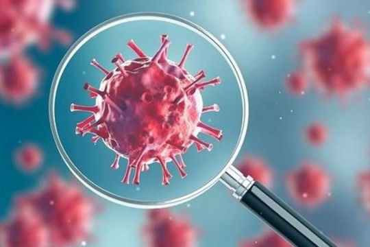 Virus corona chủng mới (SARS-CoV-2) chủng “L” và “S” khác biệt như thế nào?