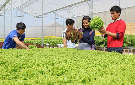 Thúc đẩy sản xuất nông nghiệp đảm bảo nhu cầu xuất khẩu