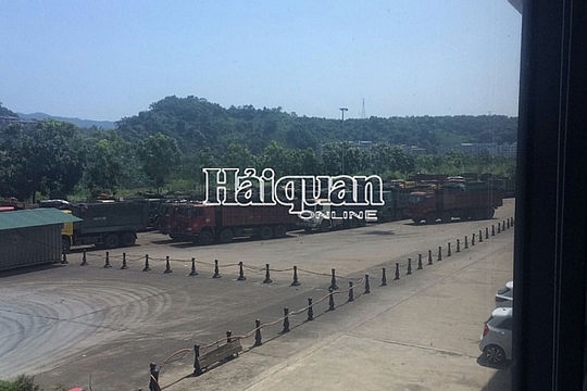 Tiếp tay cho buôn lậu khoáng sản, 3 công chức hải quan bị bắt