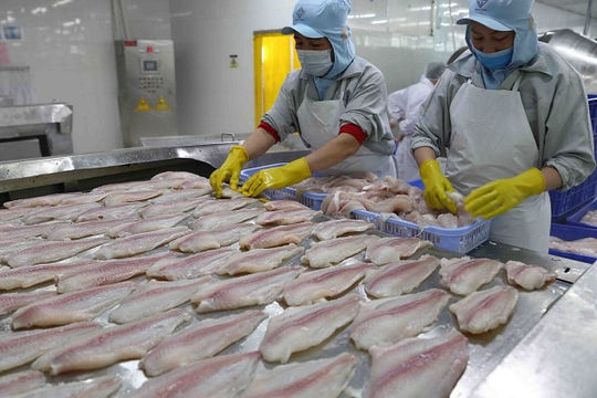 Ngành thủy sản chủ động ứng phó với đại dịch