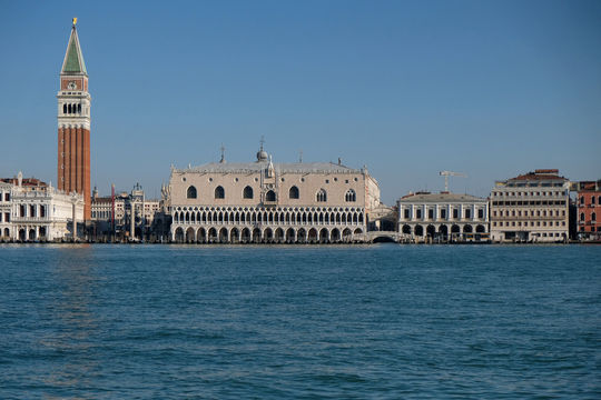 Covid-19: Cơ hội để Trái đất hồi sinh