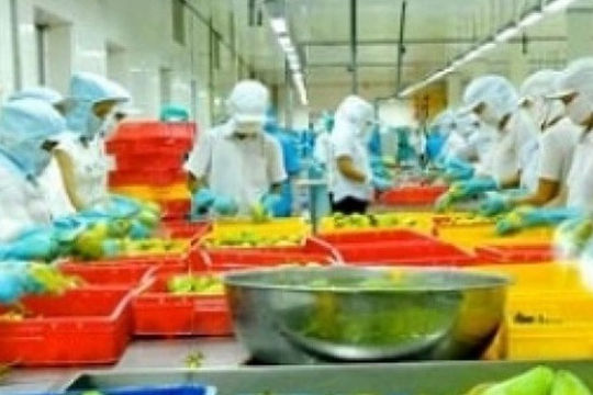 Giải pháp chính sách thận trọng  trong và sau dịch Covid-19