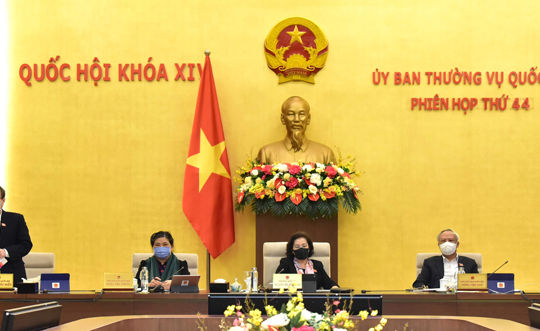 Cho ý kiến dự thảo Nghị quyết của Quốc hội về phát triển thành phố Đà Nẵng