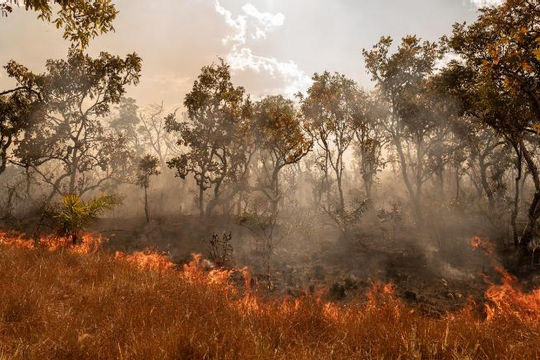Năm 2070, hàng tỷ người phải sống ở những nơi quá nóng để có thể tồn tại