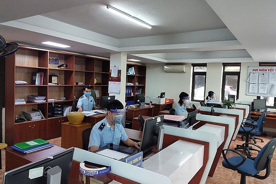 Hải quan Cẩm Phả tăng thu 543 tỷ đồng từ than nhâp khẩu