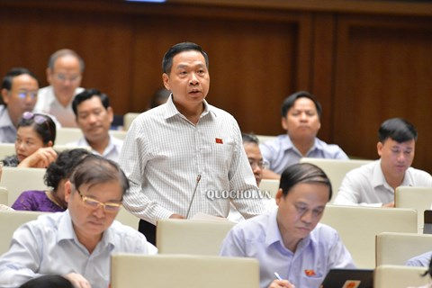 Đã hạn chế tối đa việc đối chiếu thuế tại doanh nghiệp trong hoạt động kiểm toán năm 2020