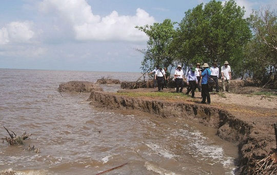 Ứng phó với biến đổi khí hậu - Trách nhiệm và quyền lợi của doanh nghiệp