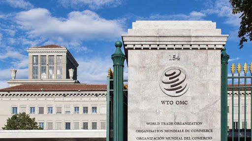 WTO giữa “ngã ba đường” lựa chọn lãnh đạo