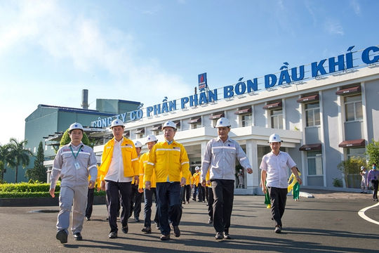 Cụm công nghiệp Khí Điện Đạm Cà Mau: Tiết kiệm năng lượng, quản trị hiệu quả