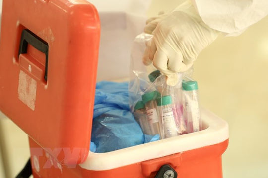 Thêm 7 trường hợp mắc mới bệnh COVID-19, đều ở Đà Nẵng Thêm 7 trường hợp mắc mới bệnh COVID-19, đều ở Đà Nẵng