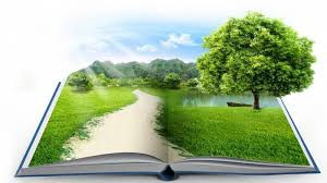 Cần bổ sung chức năng, nhiệm vụ về kiểm toán môi trường trong Luật Bảo vệ môi trường (sửa đổi)