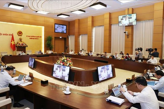 81 người đứng đầu bị kết luận là thiếu trách nhiệm để xảy ra tham nhũng