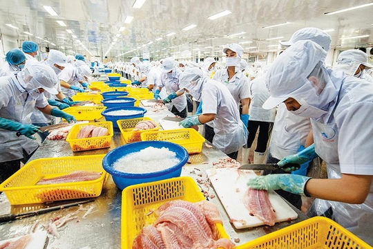 Phát triển chăn nuôi cần gắn với nhu cầu thị trường trong nước và thế giới