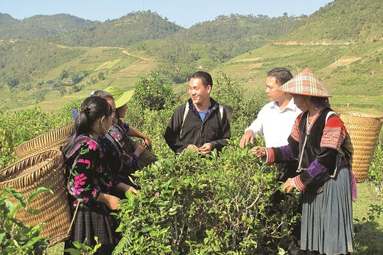 Thực hiện toàn diện, hiệu quả các  chính sách thúc đẩy giảm nghèo bền vững