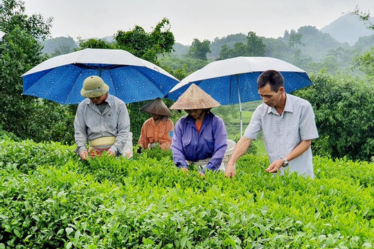 Về đích sớm Chương trình mục tiêu quốc gia giai đoạn 2016-2020