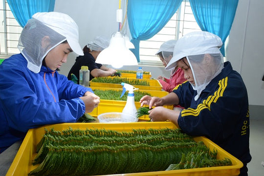 Cần gỡ “nút thắt” về vốn cho nông nghiệp ứng dụng công nghệ cao Cần gỡ “nút thắt” về vốn cho nông nghiệp ứng dụng công nghệ cao