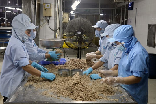 Asia Times: Kinh tế Việt Nam tăng trưởng dương bất chấp đại dịch