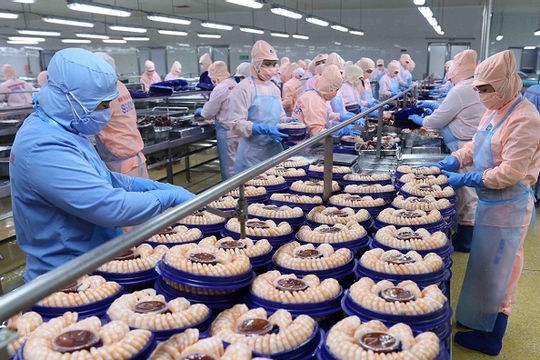 VASEP dự báo xuất khẩu thủy sản năm 2020 đạt khoảng 8,6 tỷ USD VASEP dự báo xuất khẩu thủy sản năm 2020 đạt khoảng 8,6 tỷ USD
